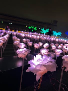 東京メガイルミに投稿された画像（2023/10/22）