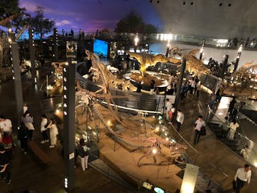 福井県立恐竜博物館に投稿された画像（2023/10/22）