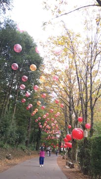 ムーミンバレーパークに投稿された画像（2023/10/22）