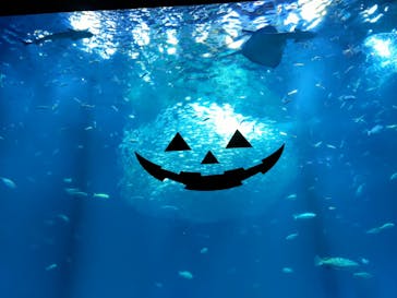 アクアワールド茨城県大洗水族館に投稿された画像（2023/10/22）