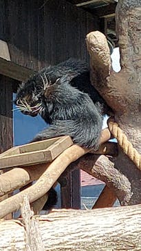 那須サファリパークに投稿された画像（2023/10/22）