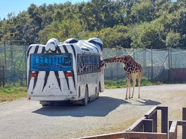 那須サファリパークに投稿された画像（2023/10/22）