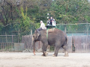 那須サファリパークに投稿された画像（2023/10/22）