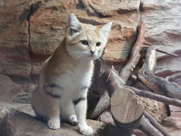 那須どうぶつ王国に投稿された画像（2023/10/22）