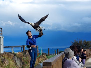 那須どうぶつ王国に投稿された画像（2023/10/22）