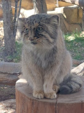 那須どうぶつ王国に投稿された画像（2023/10/22）