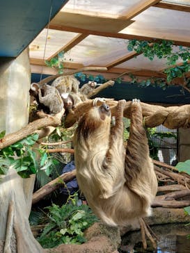 那須どうぶつ王国に投稿された画像（2023/10/22）