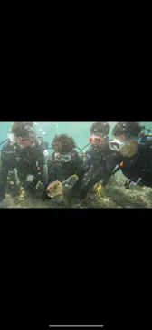 武藤潜水に投稿された画像（2023/10/22）