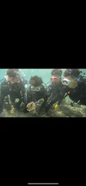 武藤潜水に投稿された画像（2023/10/22）