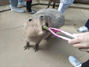 横浜・八景島シーパラダイスに投稿された画像（2023/10/22）