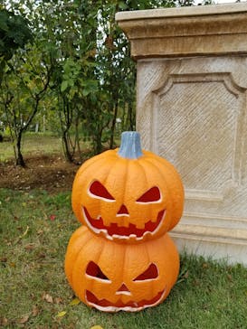 京成バラ園に投稿された画像（2023/10/22）