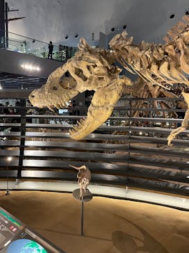 福井県立恐竜博物館に投稿された画像（2023/10/22）
