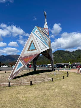 福井県立恐竜博物館に投稿された画像（2023/10/22）