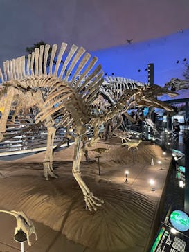 福井県立恐竜博物館に投稿された画像（2023/10/22）