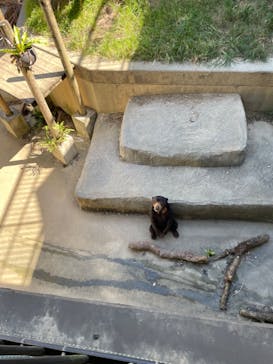 沖縄こどもの国に投稿された画像（2023/10/22）