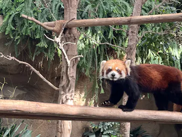 神戸どうぶつ王国に投稿された画像（2023/10/22）