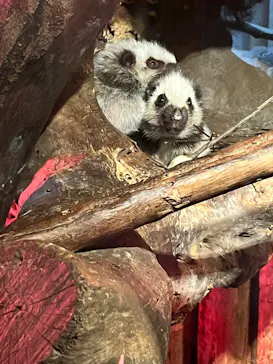 神戸どうぶつ王国に投稿された画像（2023/10/22）