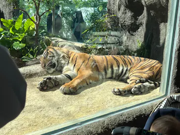 神戸どうぶつ王国に投稿された画像（2023/10/22）