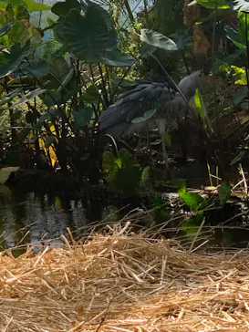 神戸どうぶつ王国に投稿された画像（2023/10/22）