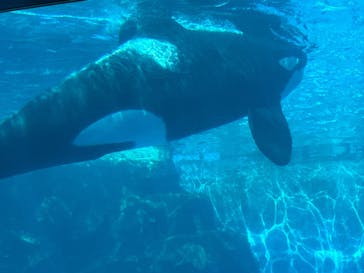 名古屋港水族館に投稿された画像（2023/10/22）