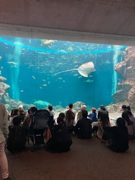 鴨川シーワールドに投稿された画像（2023/10/22）