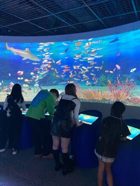 鴨川シーワールドに投稿された画像（2023/10/22）