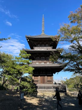 三溪園に投稿された画像（2023/10/22）