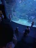 京都水族館に投稿された画像（2023/10/22）