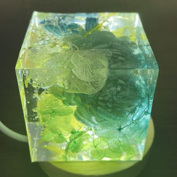 ずこうしつ〜sugamo〜に投稿された画像（2023/10/22）