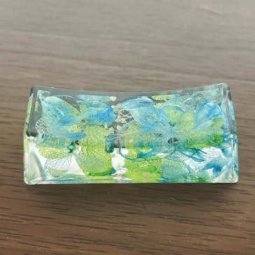 ずこうしつ〜sugamo〜に投稿された画像（2023/10/22）