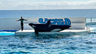 鴨川シーワールドに投稿された画像（2023/10/22）