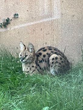 那須どうぶつ王国に投稿された画像（2023/10/22）