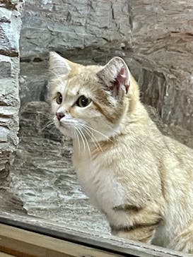 那須どうぶつ王国に投稿された画像（2023/10/22）