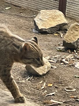 那須どうぶつ王国に投稿された画像（2023/10/22）
