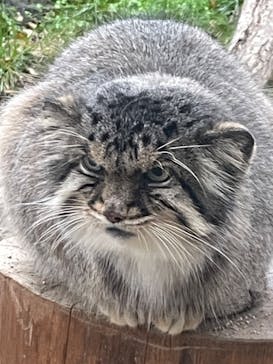 那須どうぶつ王国に投稿された画像（2023/10/22）