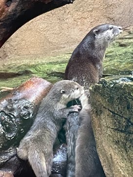 那須どうぶつ王国に投稿された画像（2023/10/22）