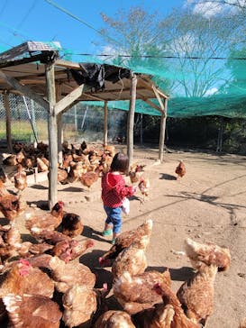 農業公園信貴山のどか村に投稿された画像（2023/10/22）