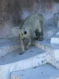 天王寺動物園に投稿された画像（2023/10/22）