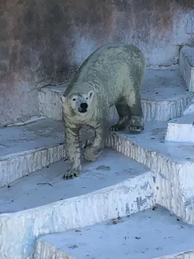 天王寺動物園に投稿された画像（2023/10/22）