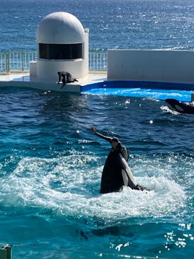 鴨川シーワールドに投稿された画像（2023/10/22）