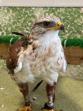 Moff animal world BIGHOPガーデンモール印西店に投稿された画像（2023/10/22）