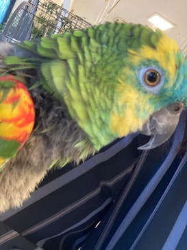 Moff animal world BIGHOPガーデンモール印西店に投稿された画像（2023/10/22）