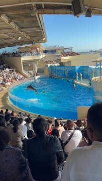 新江ノ島水族館に投稿された画像（2023/10/22）