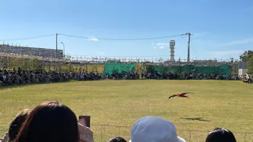 神戸どうぶつ王国に投稿された画像（2023/10/22）