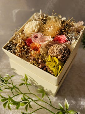 ずこうしつ〜sugamo〜に投稿された画像（2023/10/22）