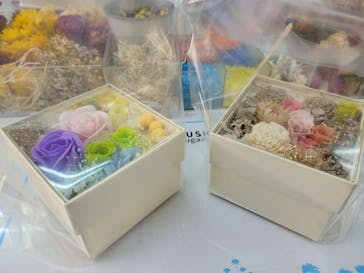 ずこうしつ〜sugamo〜に投稿された画像（2023/10/22）