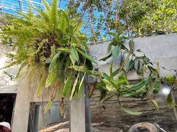 環境水族館アクアマリンふくしまに投稿された画像（2023/10/22）