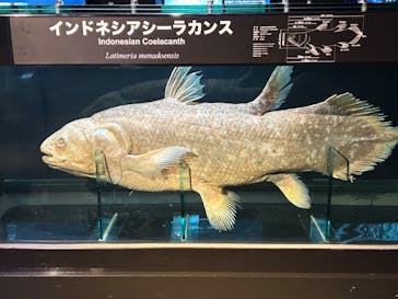 環境水族館アクアマリンふくしまに投稿された画像（2023/10/22）