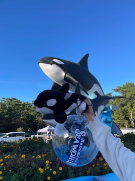 鴨川シーワールドに投稿された画像（2023/10/22）