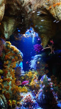 サンシャイン水族館に投稿された画像（2023/10/22）